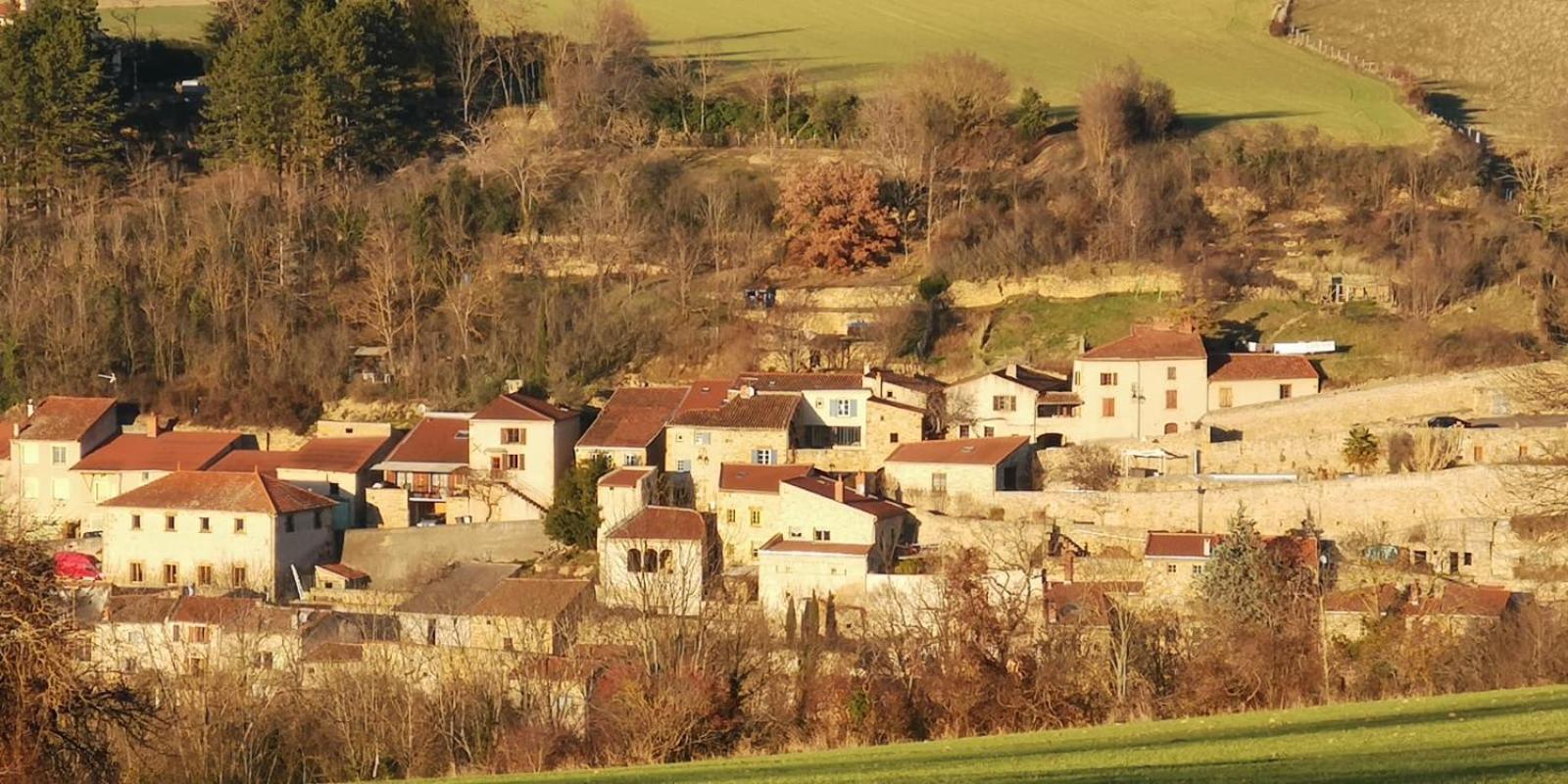 Le Logis D'Hortense Vic-le-Comte Eksteriør bilde