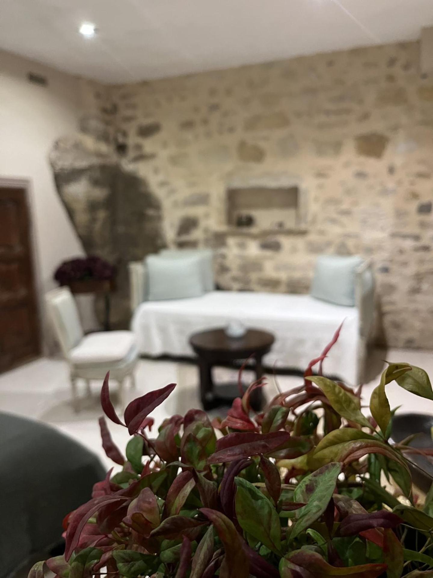 Le Logis D'Hortense Vic-le-Comte Eksteriør bilde